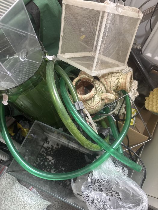 Akwarium duze 160 l z glonojadami