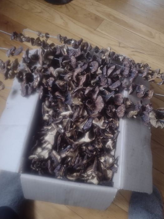 Сушені польські гриби