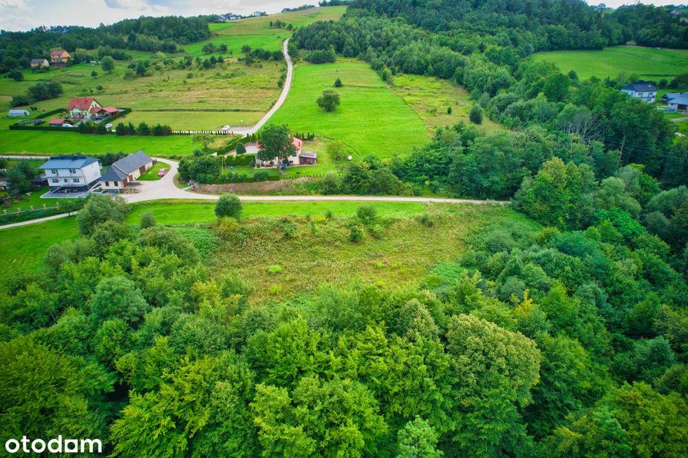Działka budowlano-rolna przy potoku i przy lesie (możliwość bliźniaka)
