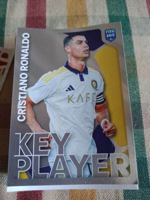 Lote 130 cromos FIFA 365 20/26