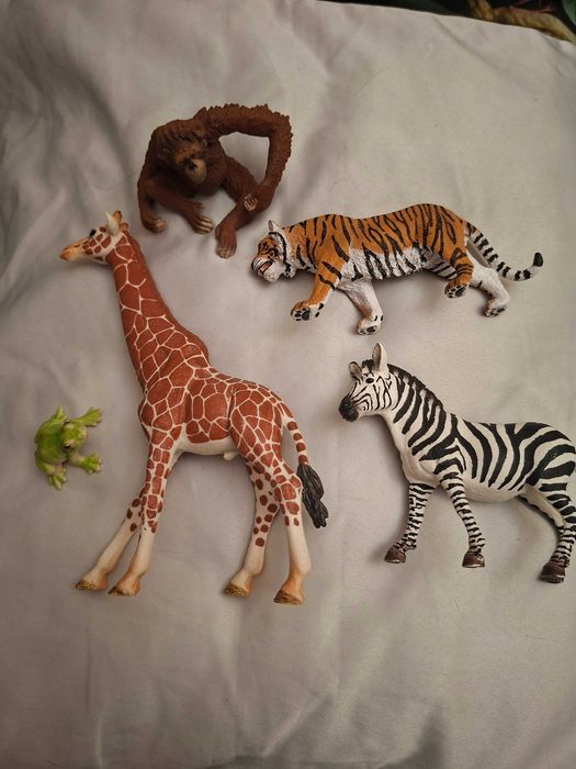 Zestaw 5 figurek Schleich: orangutan, tygrys, żyrafa, rzekotka, zebra