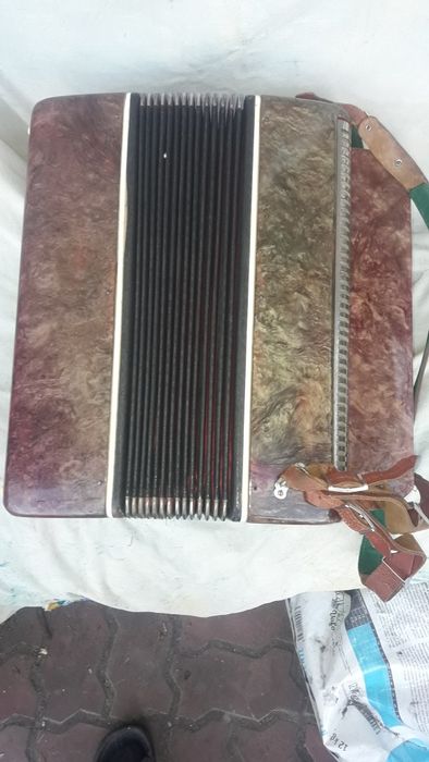 Музичний інструмент баян