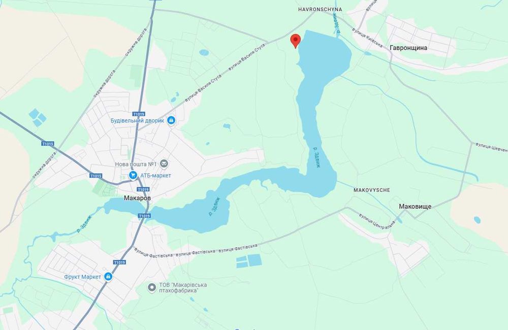 Продаж ділянки 72 сотки в Макарове.