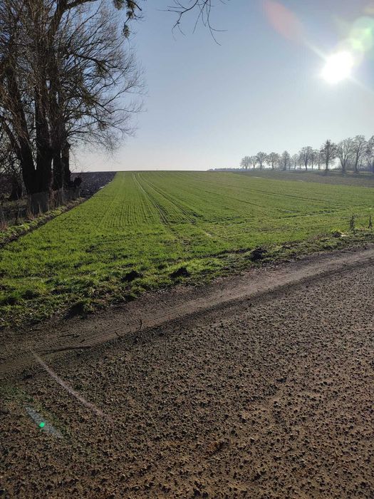 Działka  rolna pod zabudowe