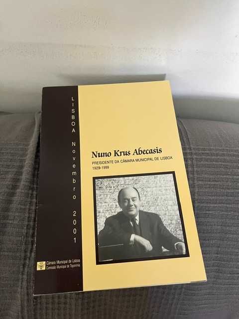 Nuno Krus Abecasis: Presidente da Câmara Municipal de Lisboa, 1929-1999