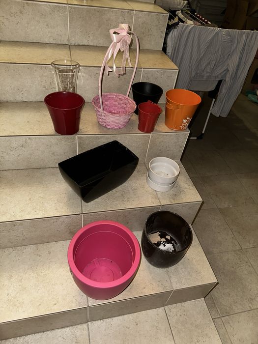 Vasos plantas variados