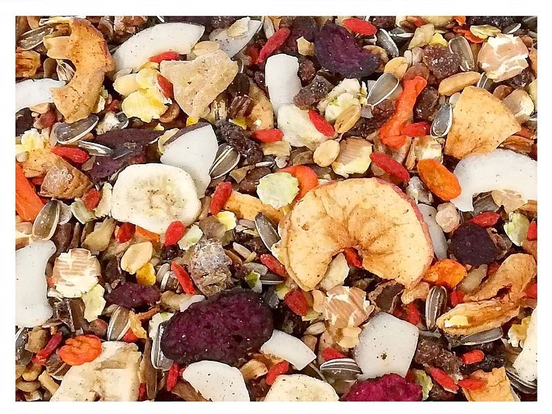 3kg Egzotyczna karma Champi dla papug średnich i dużych – mieszanka pr