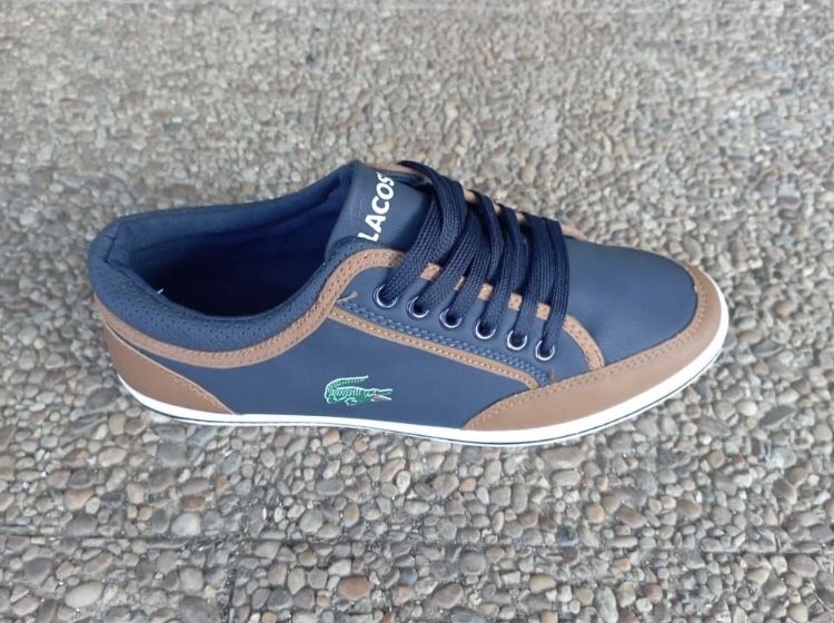 Tênis Lacoste/Puma/Tommy/Adidas