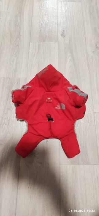За все вещи для собаки маленькой породы.Цена за все.