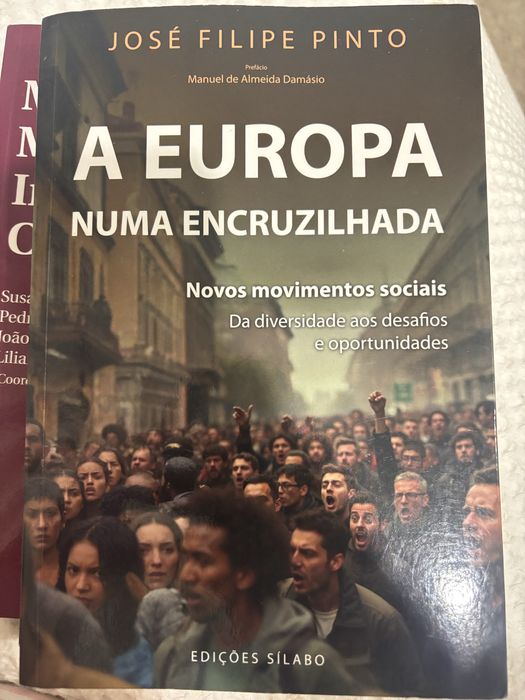 Livro europa numa encruzilhada