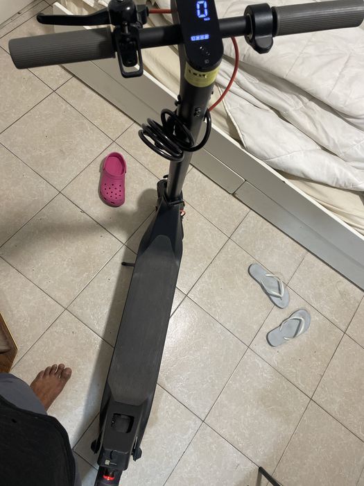 Trotnet em bom estado