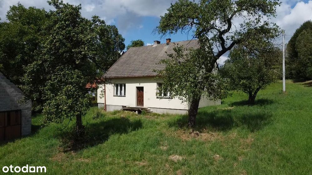 Duża działka z domem i stodołą - 77ar - Widok 5
