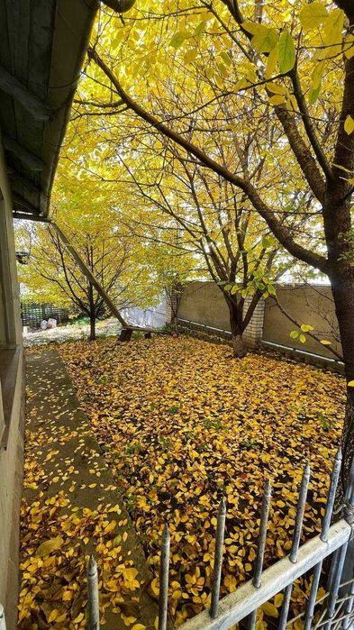 Продається земельна ділянка 9,01 сотих, з житловим будинком!!