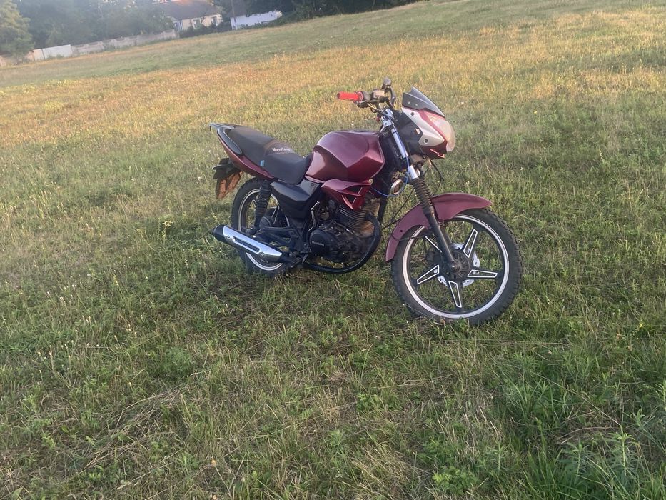 MUSSTANG Region MT150-8