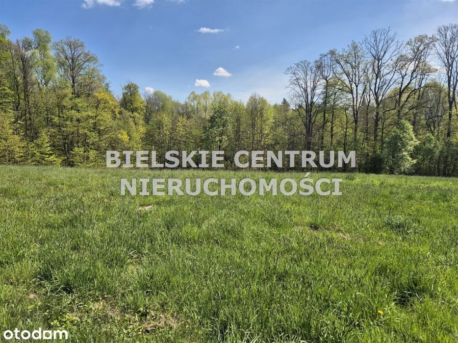 Działka, Mazańcowice