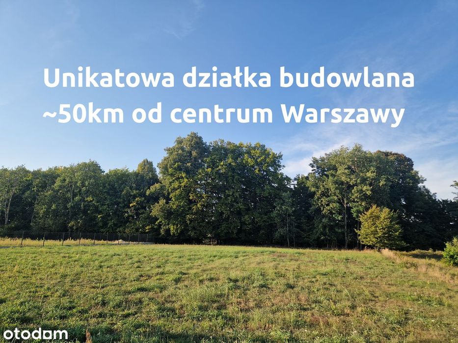 Unikatowa działka przy leśnej skarpie w ekologicznym ciąglu zieleni