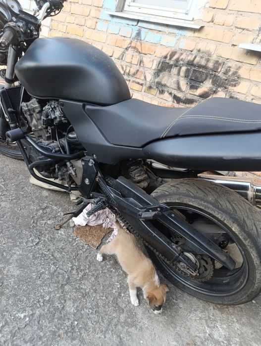Honda hornet cb600f