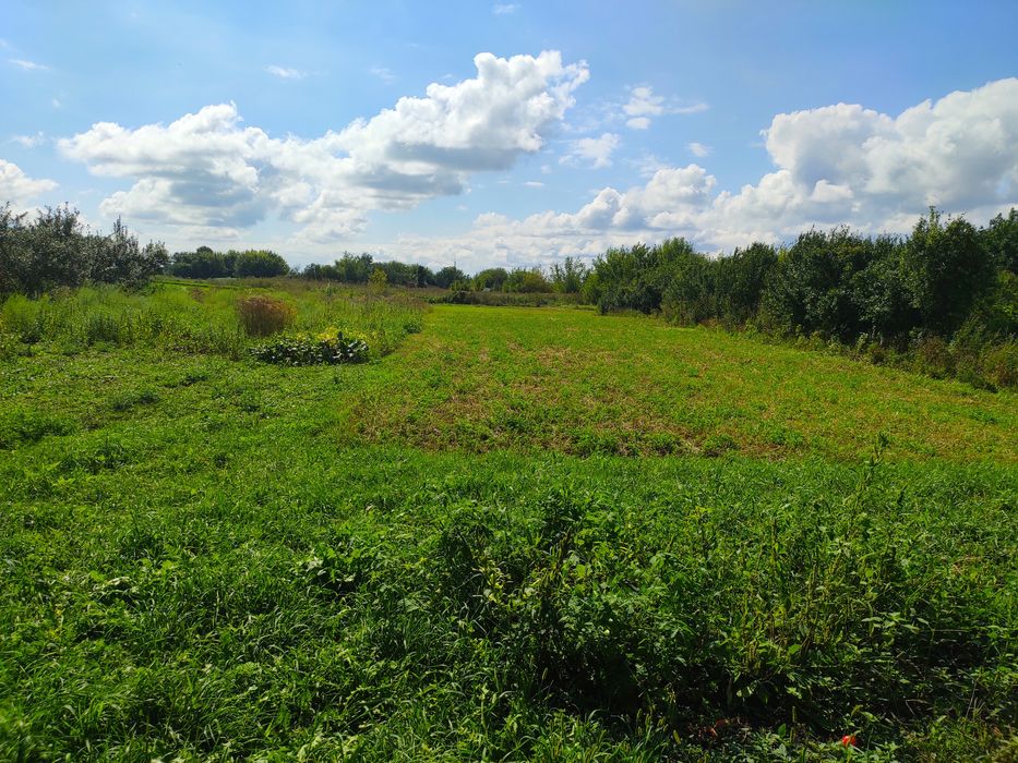 Продам крепкий дом, Печенежский р-н