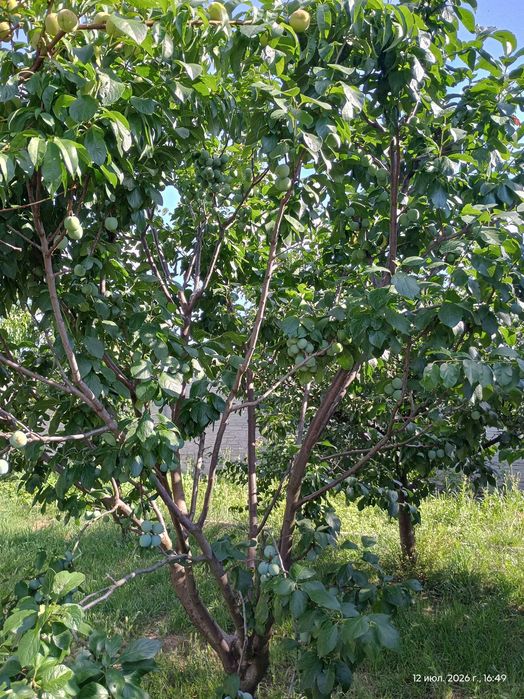 продам дом на берегу реки или обмен на ком. недвиж. в центре-бар,к