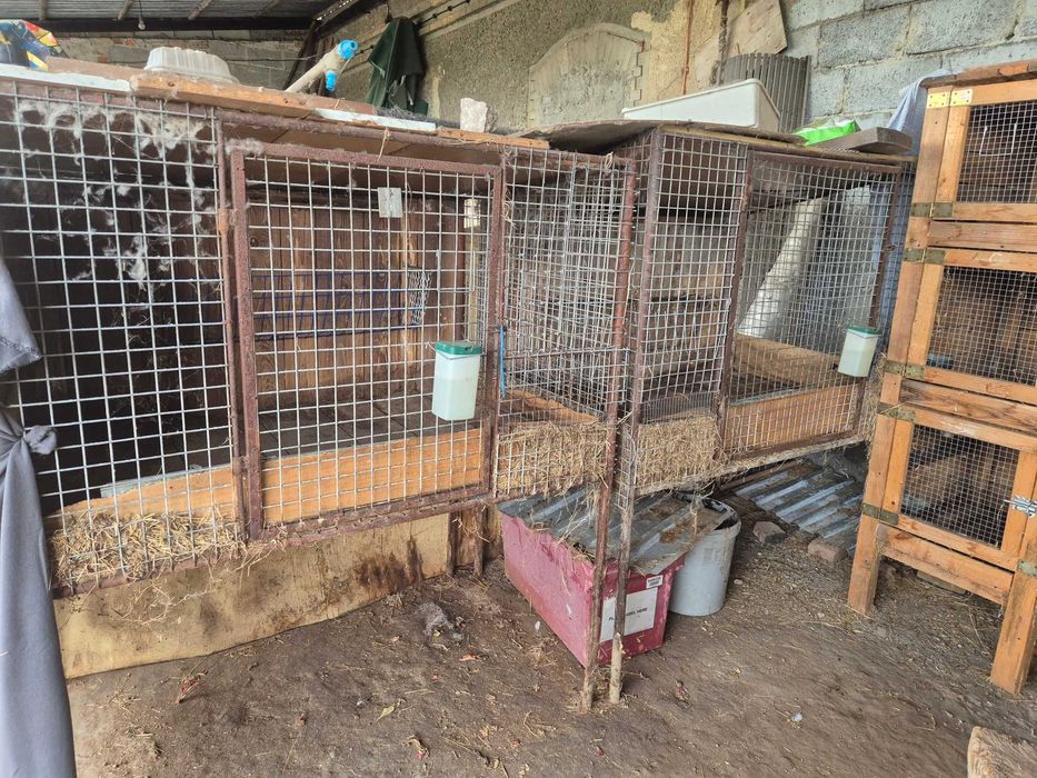 klatka na króliki lisa kury szynszyle  itp