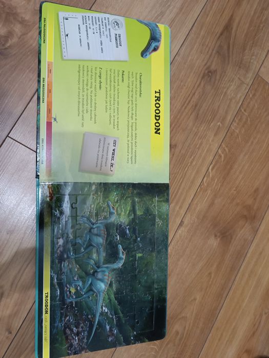 Książka pt. Inteligentne dinozaury