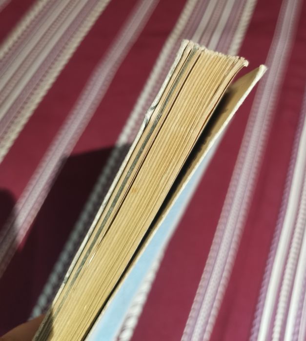Livro O Muro da Vergonha