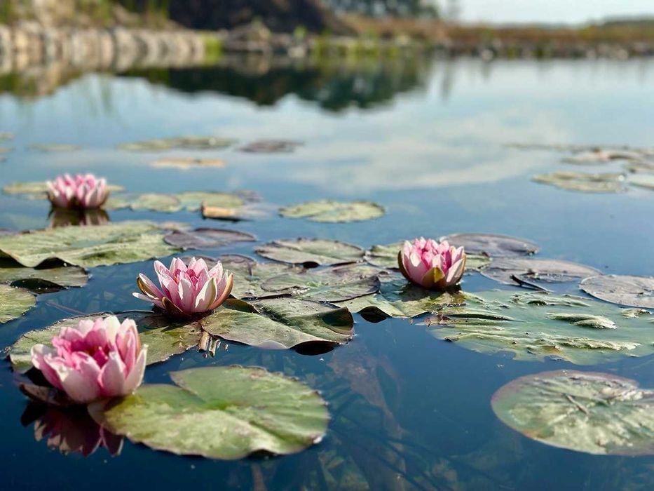 Котедж з документами 100 м² в котеджному містечку з озером, біля Десни