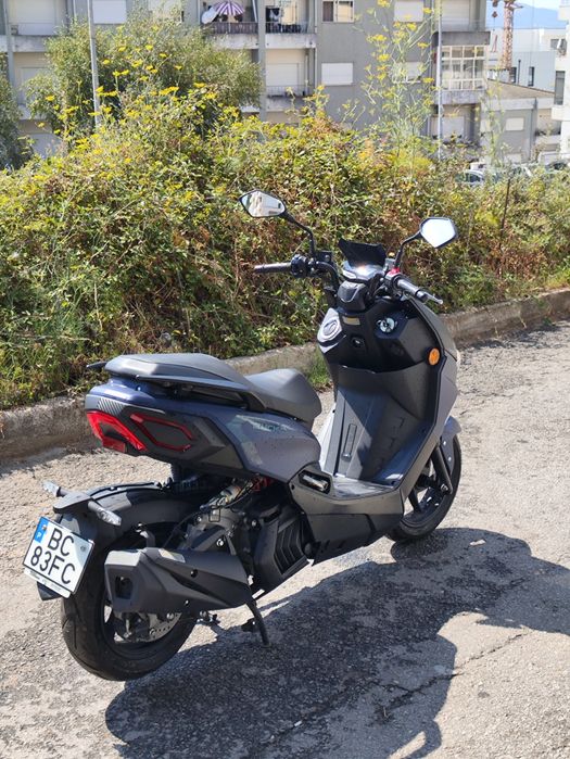 Mota Linhai Buck 2023