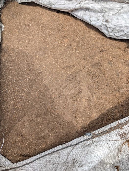 Oddam trocinę za DARMO (drzewo liściacet)