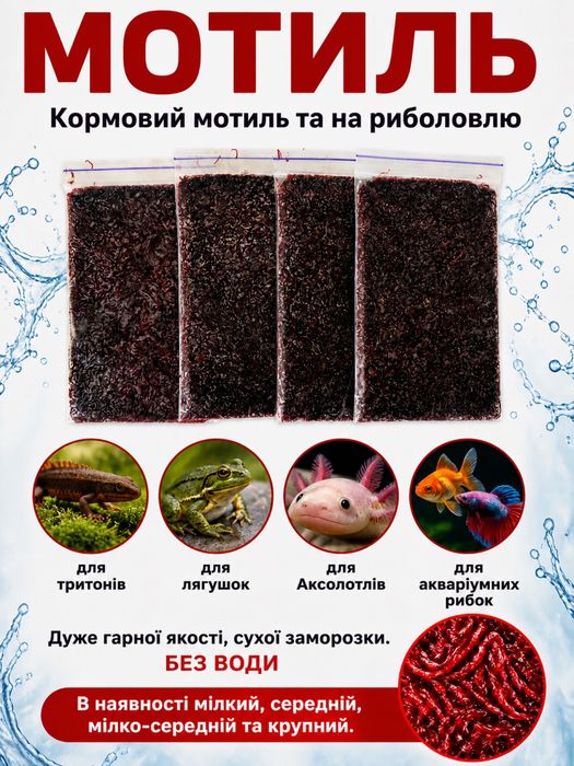 Мотиль очень хорошего качества (на рыбалку и кормовой)