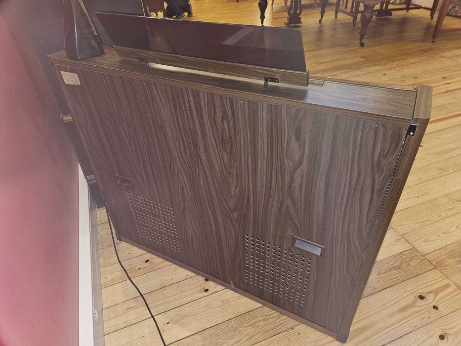 Orgão 2 teclados Elka