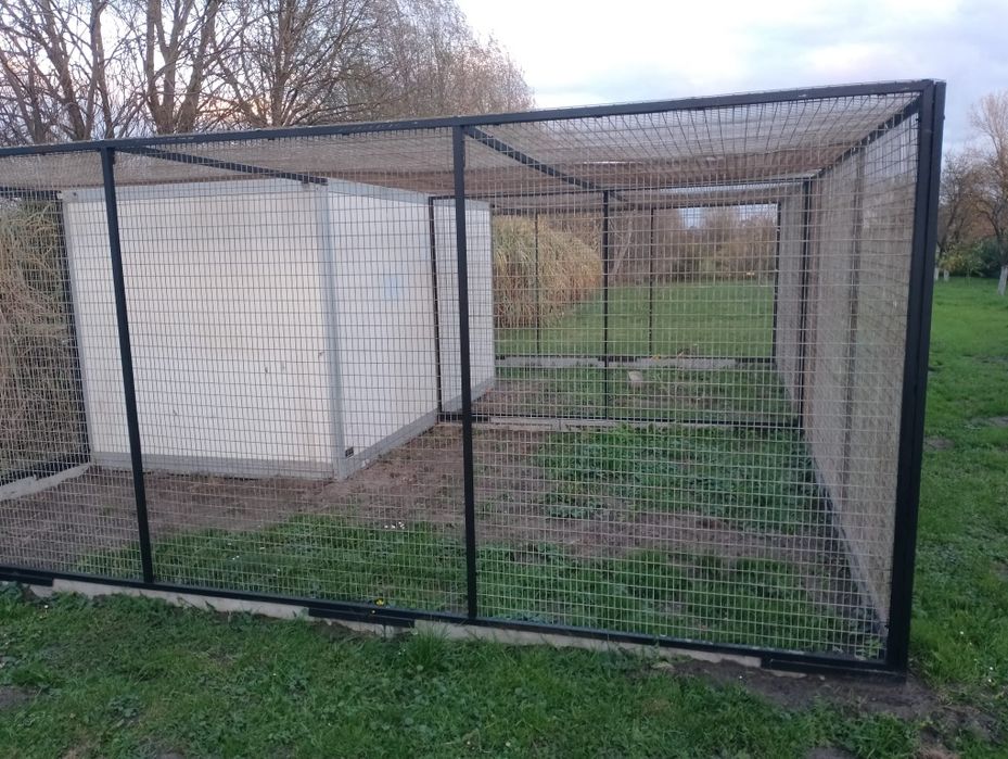 Woilera, klatka dla drobiu