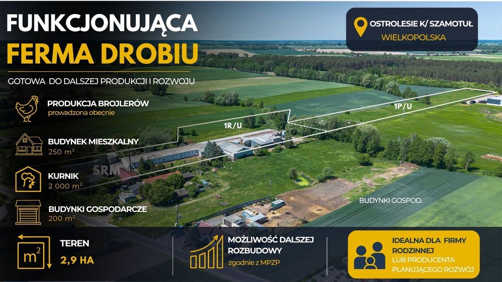 Funkcjonująca ferma drobiu, gospodarstwo rolne z domem, duża działka z potencjałem.