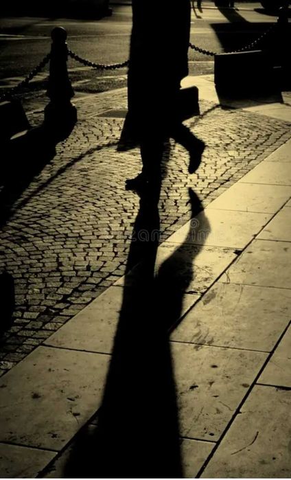 Detetive Particular519633708485201923