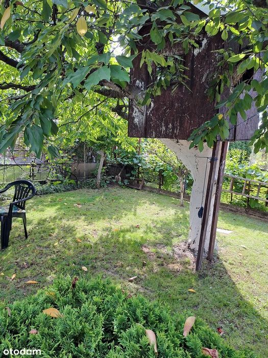 NOWA CENA!!! Atrakcyjna działka ROD w Jagodowie.