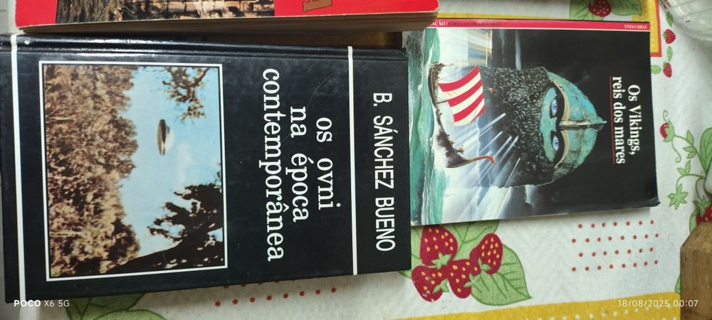 Lote variado de livros, para todos os gostos