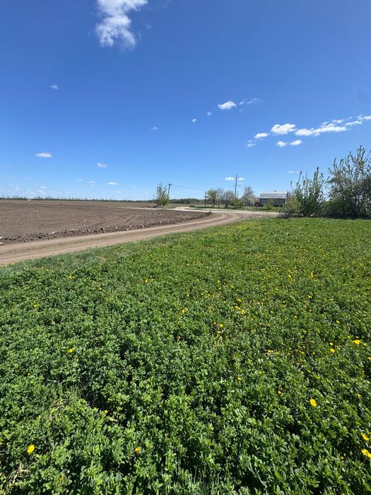 Продаж будинку с. Іванів - 30 сот!