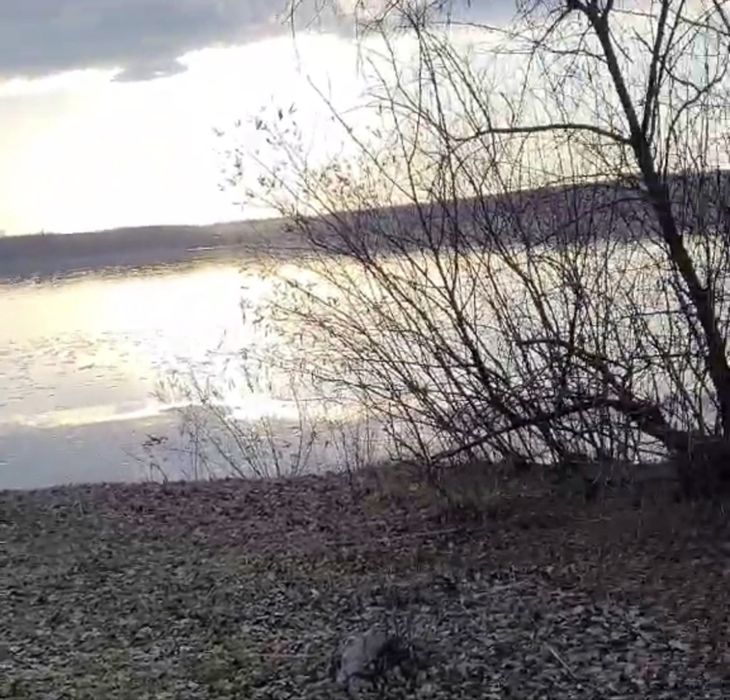 Продается участок 1 га. с домом и  выходом к воде