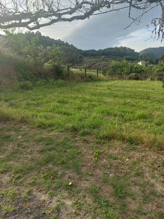 Terreno para construir em Arcos de Valdevez