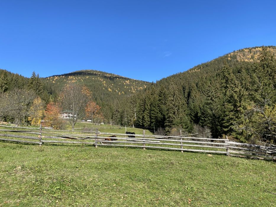 З двох сторін потічки. З трьох сторін дерева. Гарний заїзд