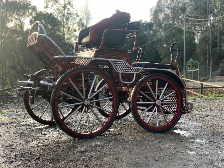 Maratona Competição CAVALOS