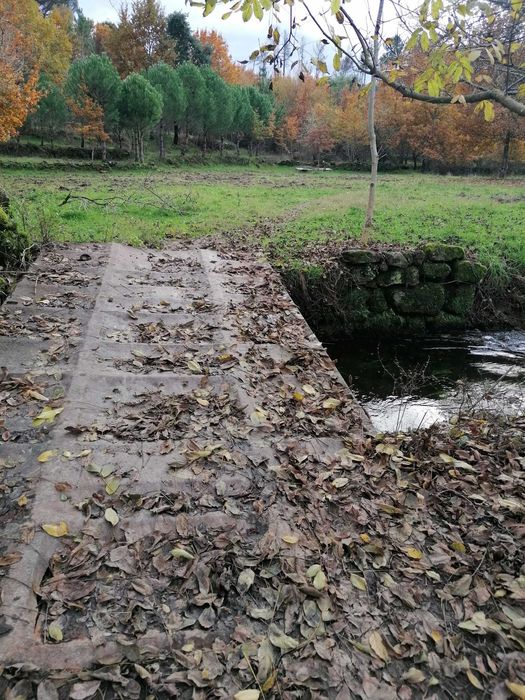 Quinta agrícola 20 000 m2 Cabanas de Viriato