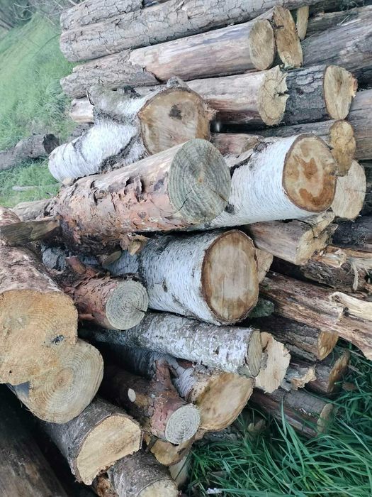 Drewno na opał,rozno rodzajowe, metry,120 zł za metr sześcienny.