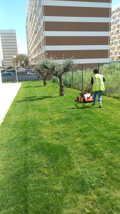 Limpeza de terrenos, lotes e quintais em Lisboa
