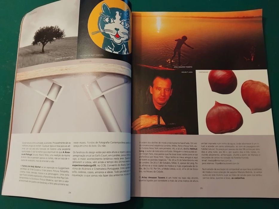 Ícon - Estilo e Substância