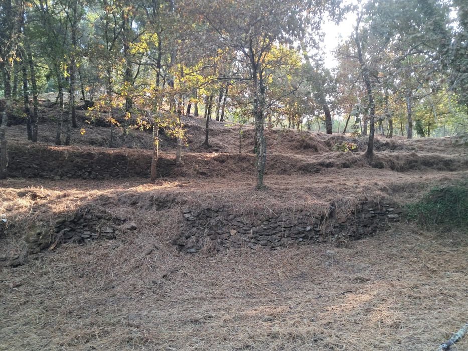 Limpeza de terrenos desmataçao