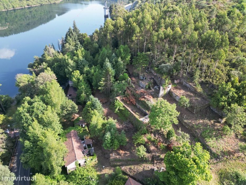 Excelente Oportunidade de Investimento | Quinta com Vista para a Barra — Venda Nova E Pondras, Vila Real