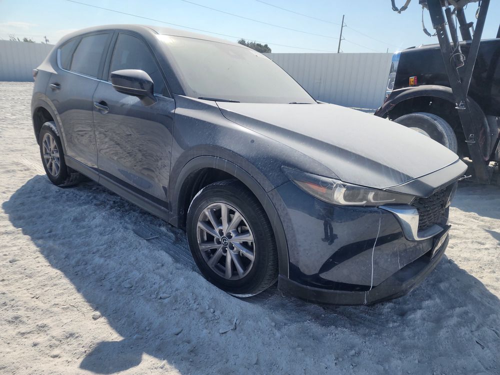 business-site-gallery-photo