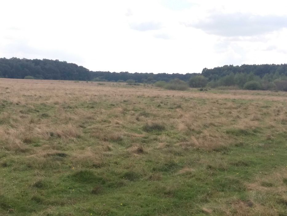 Продажа ділянки біля лісу під забудову