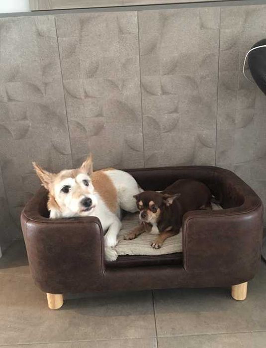 Sofá cama para cães sofá em miniatura 74x48,5x31 cm  NOVO ENVIO GRÁTIS